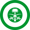 Royal Saudi Air Force / Al Quwwat al Jawwiya as Sa'udiya