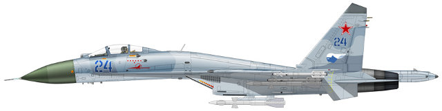 Su-27, RuAF
